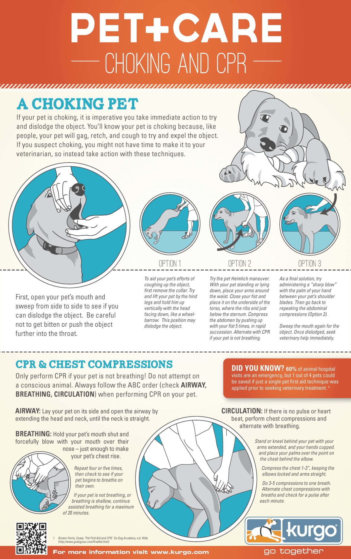 How to do CPR on your Dog – Maryville/Alcoa Animal Rescue Center ...