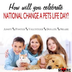 National Change a Pets Life Day