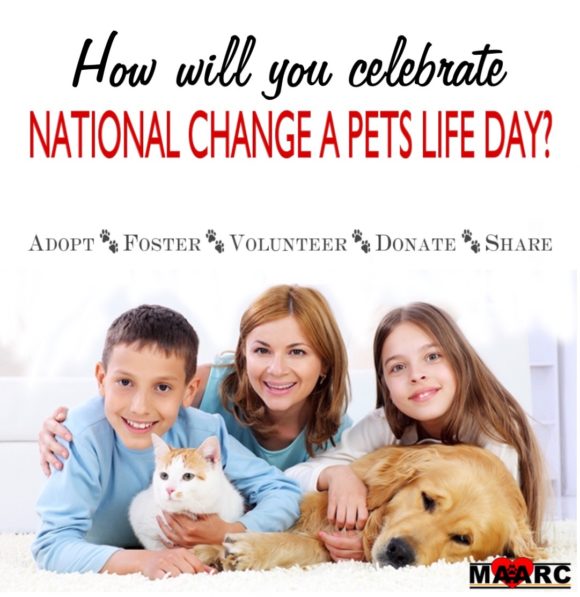 National Change a Pets Life Day – Maryville/Alcoa Animal Rescue Center ...