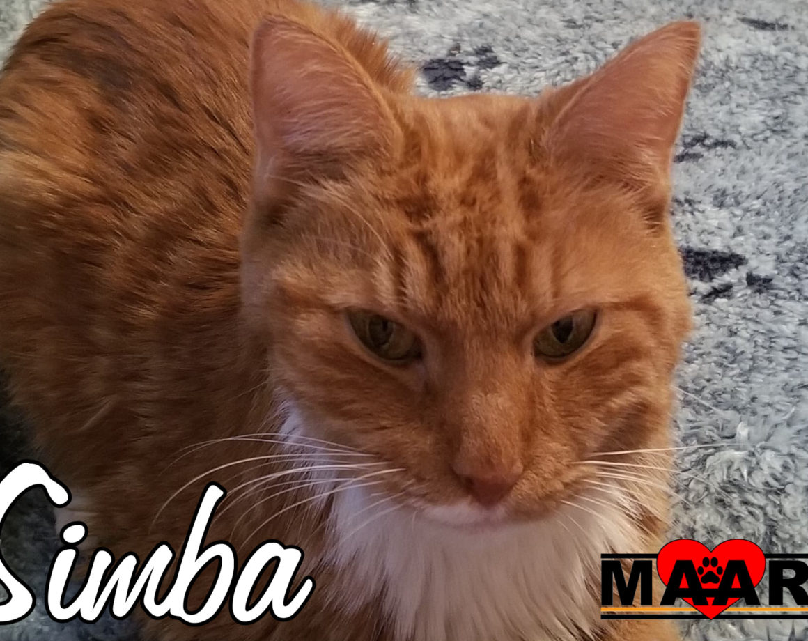 Simba