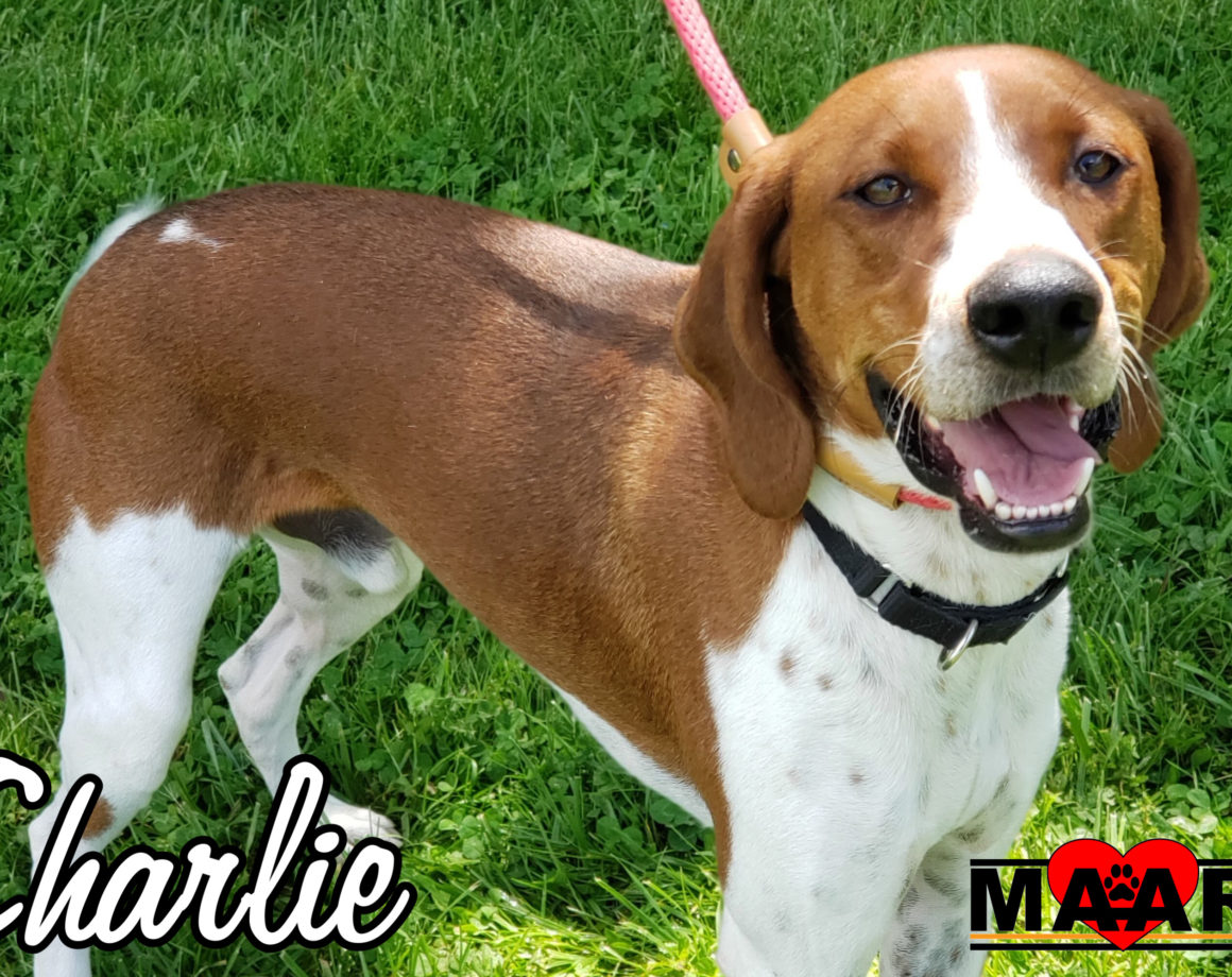 Charlie