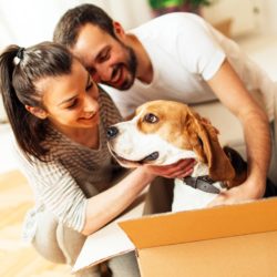 Moving with Cats or Dogs